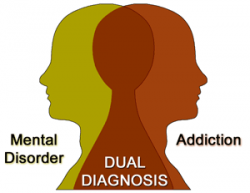 A diagram of two heads with the words dual diagnosis and mental disorder written on them.